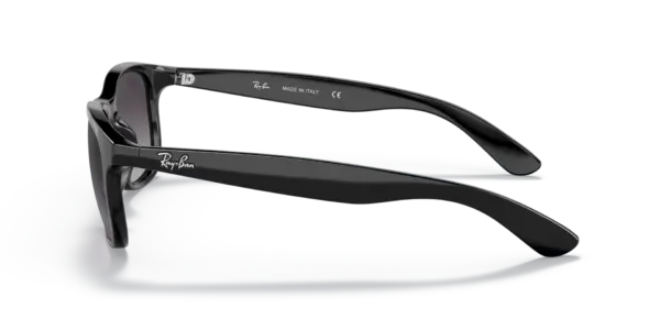 RAY-BAN ANDY RB4202 601/8G - Imagen 2
