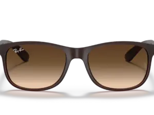 RAY-BAN ANDY RB4202 607313
