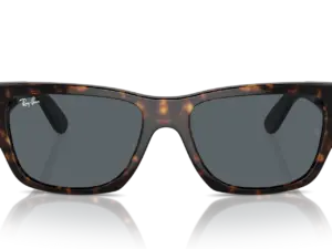 RAY-BAN CARLOS RB0947S 902/R5