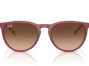 RAY-BAN ERIKA RB4171 6815A5
