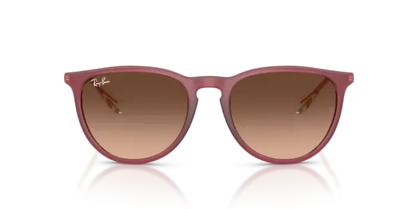 RAY-BAN ERIKA RB4171 6815A5