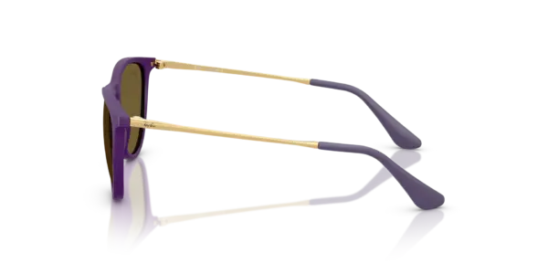 RAY-BAN JUNIOR JUNIOR ERIKA RJ9060S 717973 - Imagen 2