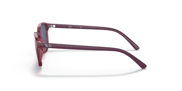 RAY-BAN JUNIOR JUNIOR LEONARD RJ9093S 711280 - Imagen 2
