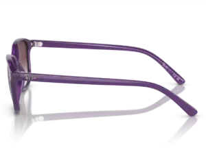 RAY-BAN JUNIOR JUNIOR LEONARD RJ9093S 713136