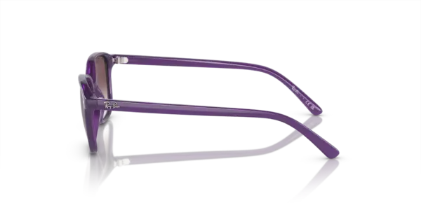 RAY-BAN JUNIOR JUNIOR LEONARD RJ9093S 713136 - Imagen 2