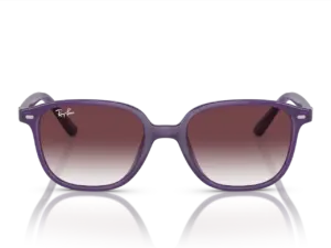 RAY-BAN JUNIOR JUNIOR LEONARD RJ9093S 713136