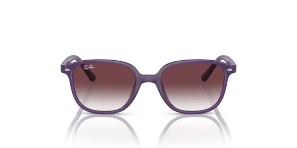 RAY-BAN JUNIOR JUNIOR LEONARD RJ9093S 713136