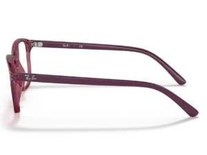 RAY-BAN JUNIOR VISTA JUNIOR LEONARD RY9093V 3898