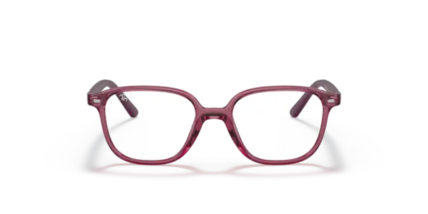 RAY-BAN JUNIOR VISTA JUNIOR LEONARD RY9093V 3898