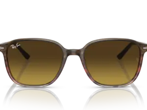 RAY-BAN LEONARD RB2193 138085