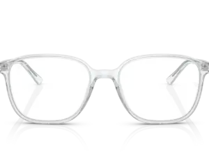 RAY-BAN LEONARD RB2193 912/GH