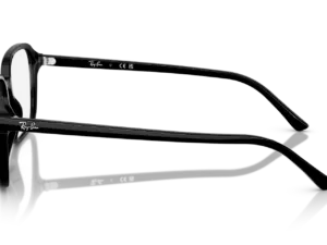 RAY-BAN RAIMOND RB2231 901/GG