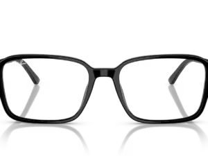 RAY-BAN RAIMOND RB2231 901/GG