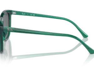 RAY-BAN RB2210 6615B1