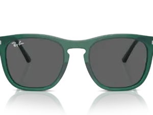 RAY-BAN RB2210 6615B1
