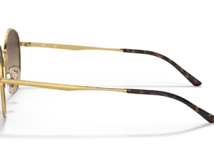 RAY-BAN RB3681 001/13