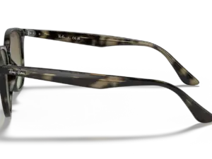 RAY-BAN RB4259 731/E8