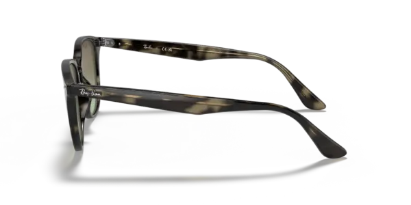 RAY-BAN RB4259 731/E8 - Imagen 2