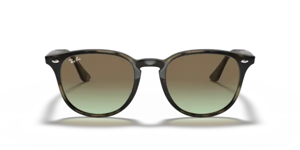 RAY-BAN RB4259 731/E8