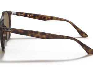 RAY-BAN RB4305 710/73