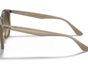 RAY-BAN RB4306 616613