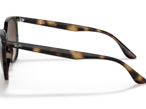RAY-BAN RB4378 710/13