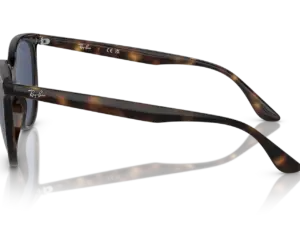 RAY-BAN RB4378 710/80