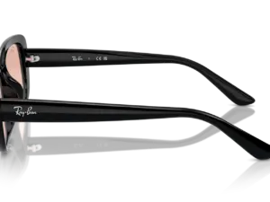 RAY-BAN RB4421D 667784