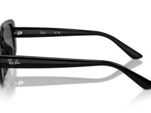 RAY-BAN RB4421D 667787