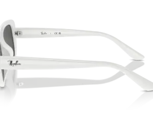RAY-BAN RB4421D 677287