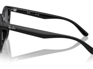 RAY-BAN RB4423D 601/87
