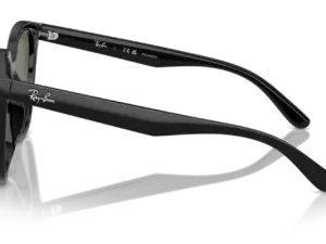 RAY-BAN RB4423D 601/9A
