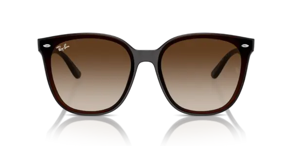 RAY-BAN RB4423D 714/13