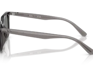 RAY-BAN RB4439D 667587