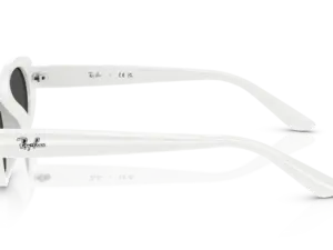 RAY-BAN RB4441D 677287