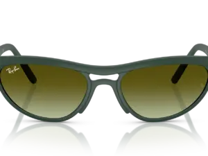 RAY-BAN RB4453 6016E8
