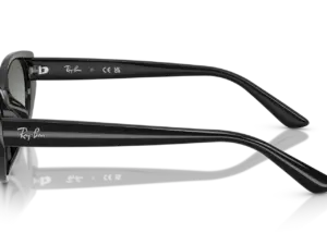 RAY-BAN RB4457D 667711