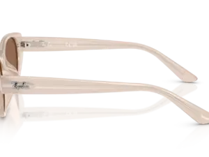 RAY-BAN RB4457D 678673