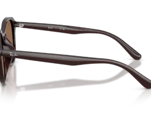 RAY-BAN RB4459D 623173