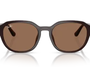 RAY-BAN RB4459D 623173