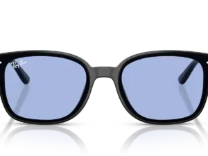 RAY-BAN RB4461D 601/80