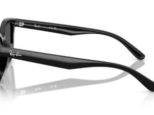 RAY-BAN RB4461D 601/87