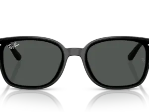 RAY-BAN RB4461D 601/87