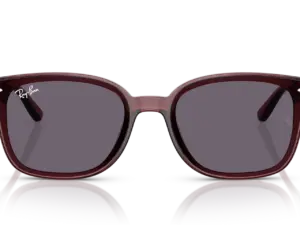 RAY-BAN RB4461D 659373