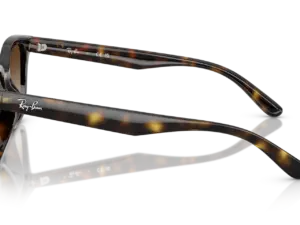 RAY-BAN RB4461D 710/13