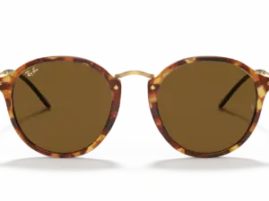 RAY-BAN ROUND RB2447 1160