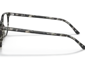 RAY-BAN VISTA ELLIOT RX5397 8117