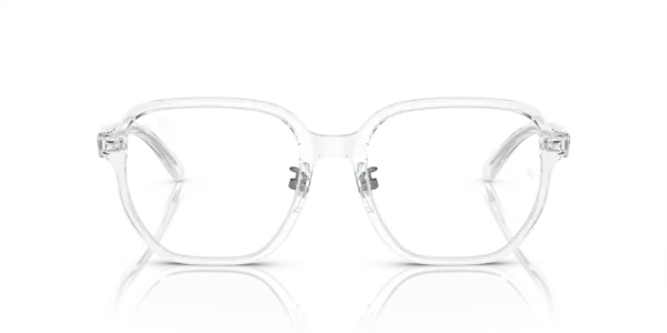 RAY-BAN VISTA RX5424D 2001