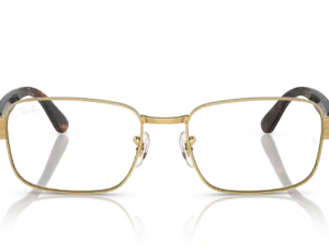 RAY-BAN VISTA RX6529 2500