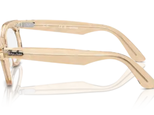 RAY-BAN VISTA WAYFARER OVAL RX2242V 8294
